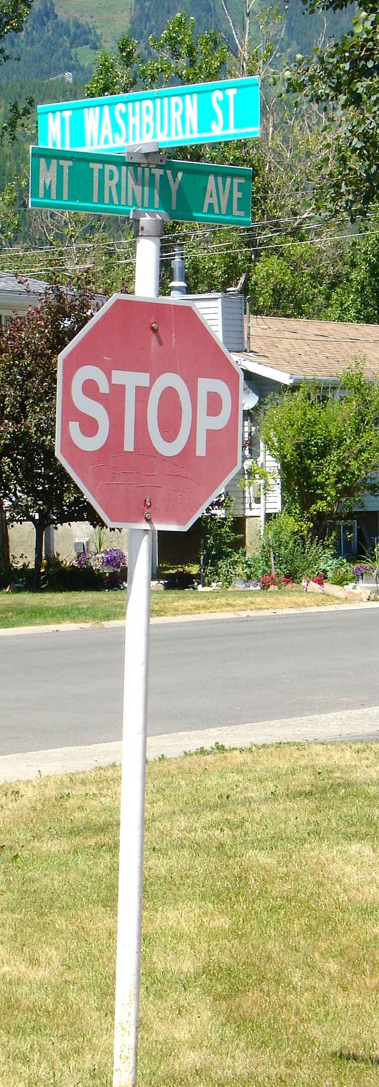 Washburn Street Sign Fernie